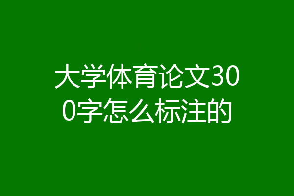 大学体育论文300字怎么标注的