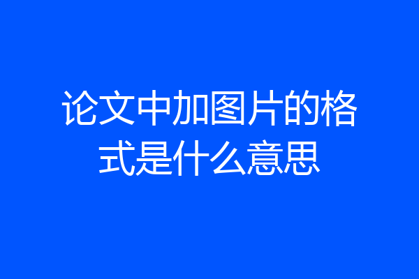 论文中加图片的格式是什么意思