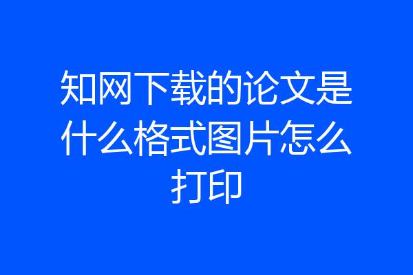 知网下载的论文是什么格式图片怎么打印