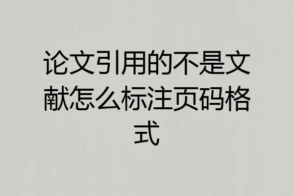 论文引用的不是文献怎么标注页码格式