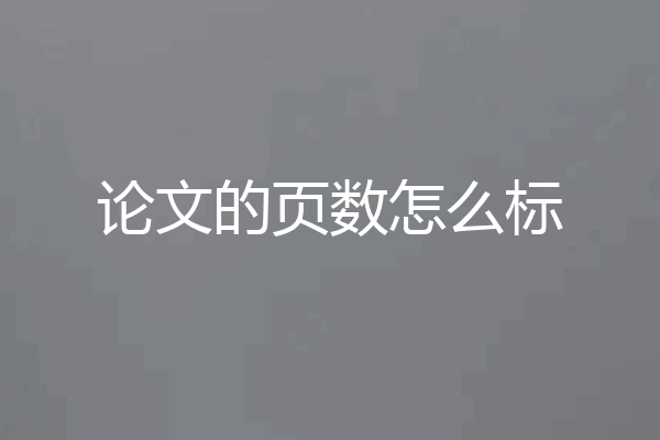 论文的页数怎么标