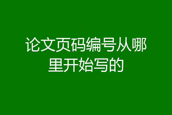 论文页码编号从哪里开始写的