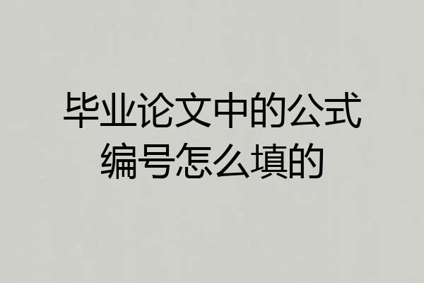 毕业论文中的公式编号怎么填的