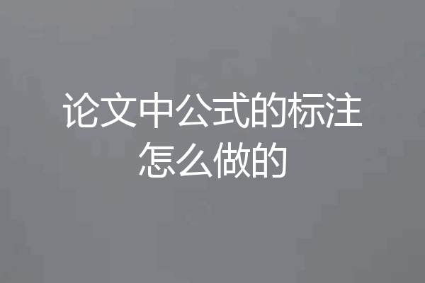论文中公式的标注怎么做的