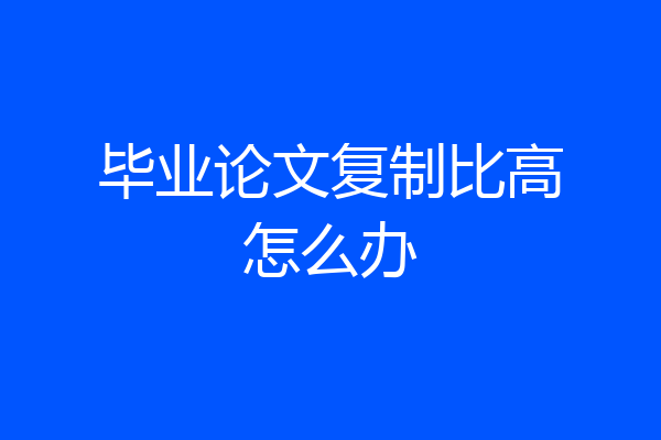 毕业论文复制比高怎么办