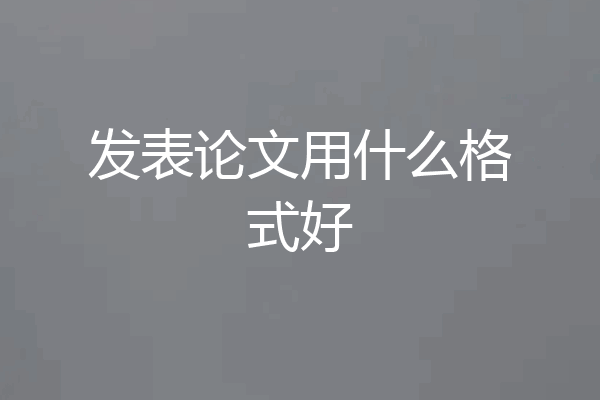 发表论文用什么格式好