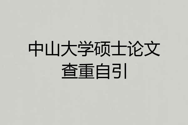 中山大学硕士论文查重自引