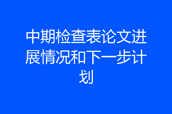 中期检查表论文进展情况和下一步计划