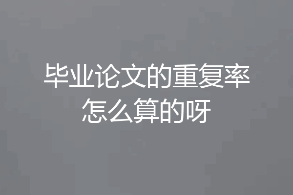 毕业论文的重复率怎么算的呀
