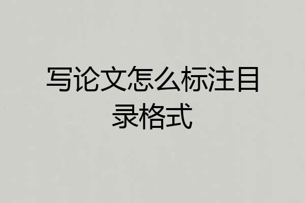 写论文怎么标注目录格式