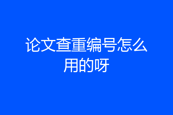 论文查重编号怎么用的呀