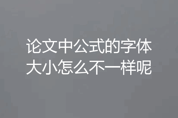 论文中公式的字体大小怎么不一样呢