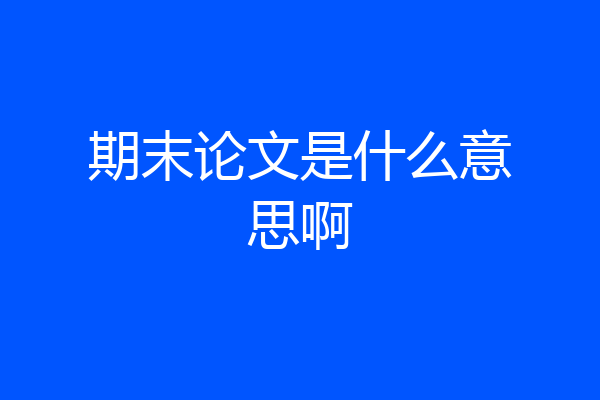 期末论文是什么意思啊