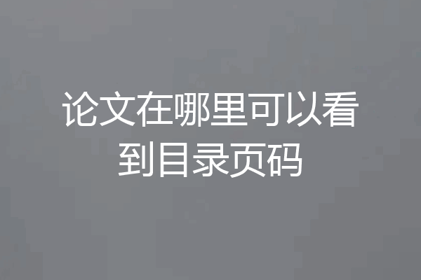 论文在哪里可以看到目录页码
