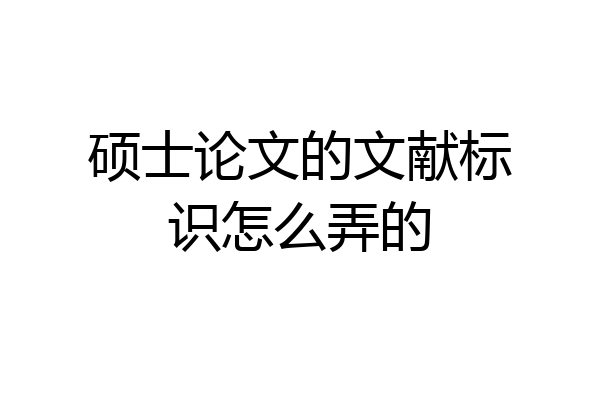 硕士论文的文献标识怎么弄的