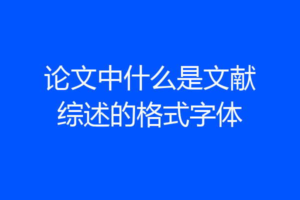 论文中什么是文献综述的格式字体