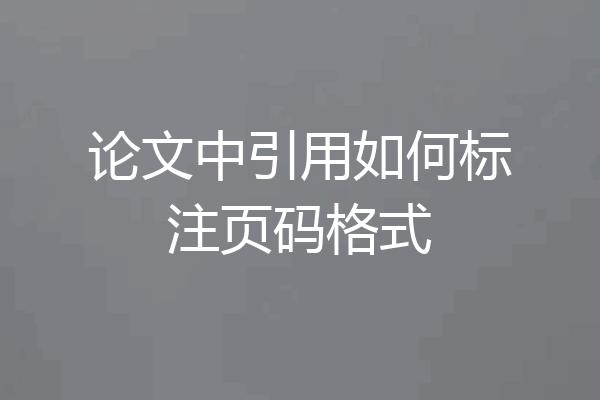 论文中引用如何标注页码格式