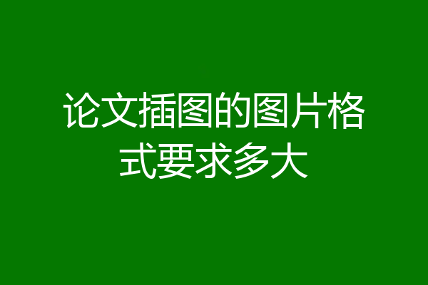 论文插图的图片格式要求多大