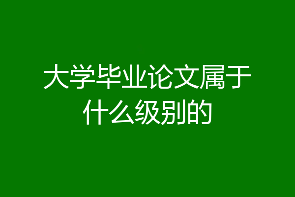 大学毕业论文属于什么级别的