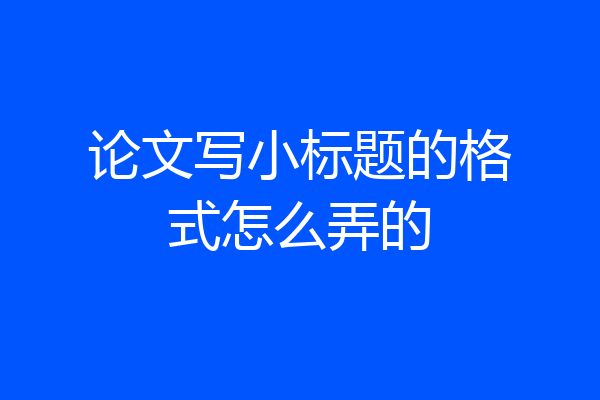 论文写小标题的格式怎么弄的