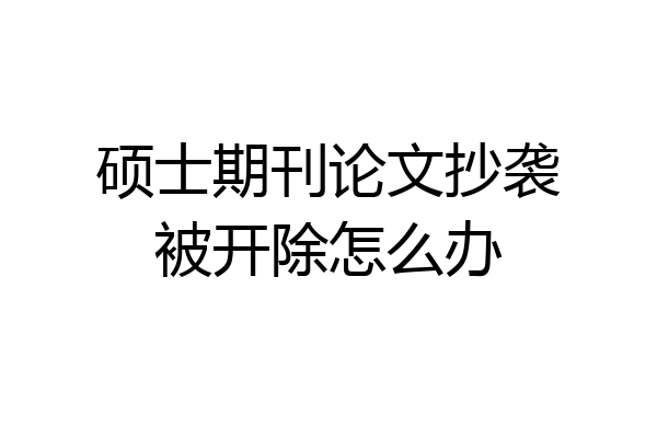 硕士期刊论文抄袭被开除怎么办
