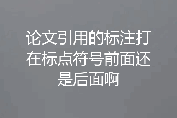 论文引用的标注打在标点符号前面还是后面啊