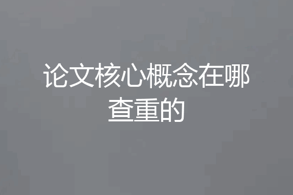 论文核心概念在哪查重的