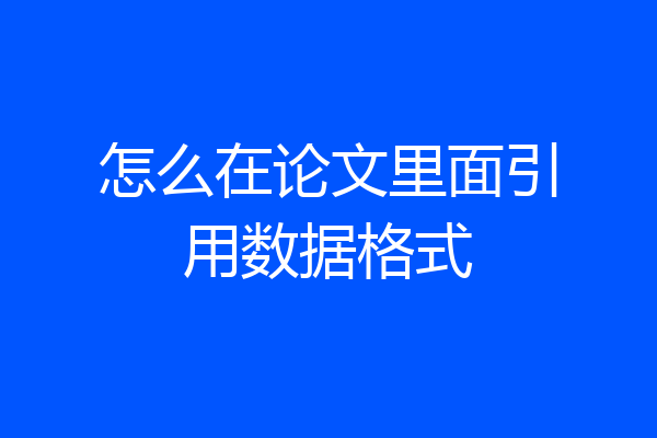 怎么在论文里面引用数据格式