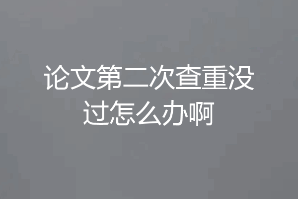 论文第二次查重没过怎么办啊