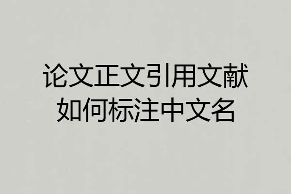 论文正文引用文献如何标注中文名