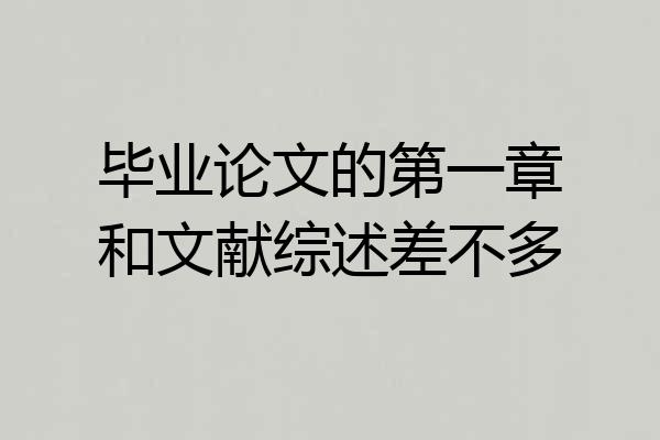 毕业论文的第一章和文献综述差不多