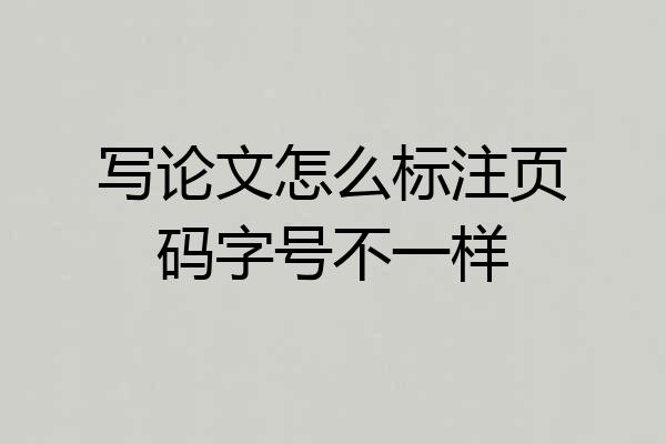写论文怎么标注页码字号不一样