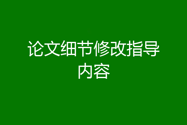 论文细节修改指导内容