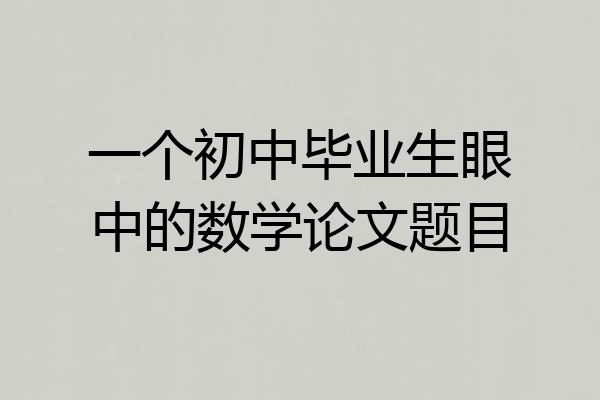 一个初中毕业生眼中的数学论文题目