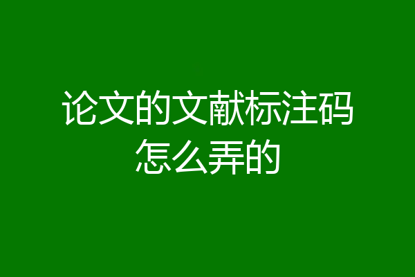 论文的文献标注码怎么弄的