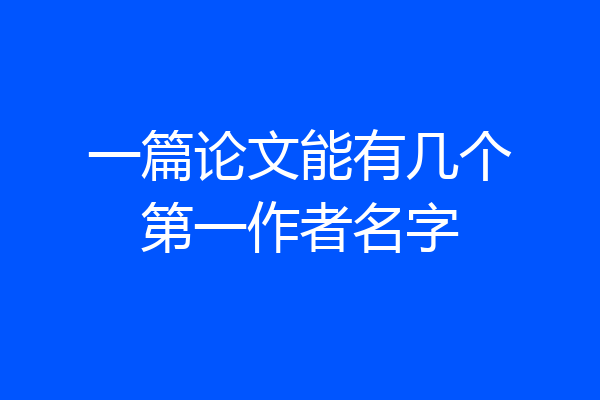 一篇论文能有几个第一作者名字