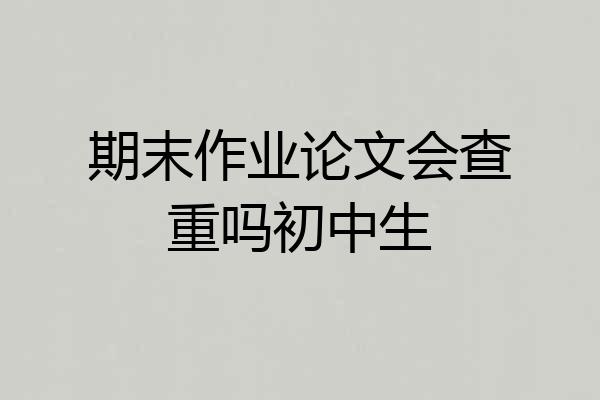 期末作业论文会查重吗初中生