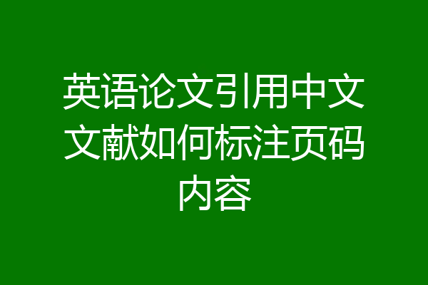 英语论文引用中文文献如何标注页码内容