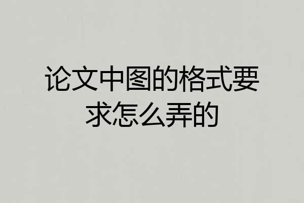 论文中图的格式要求怎么弄的