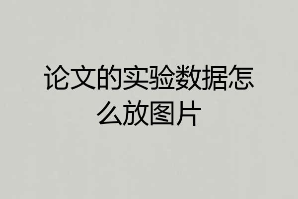 论文的实验数据怎么放图片