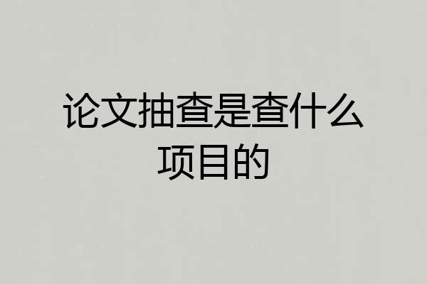 论文抽查是查什么项目的