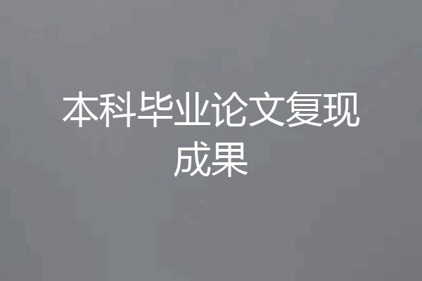 本科毕业论文复现成果