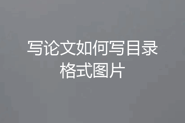 写论文如何写目录格式图片