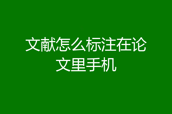 文献怎么标注在论文里手机