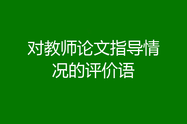 对教师论文指导情况的评价语