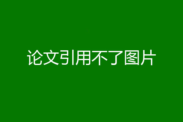 论文引用不了图片