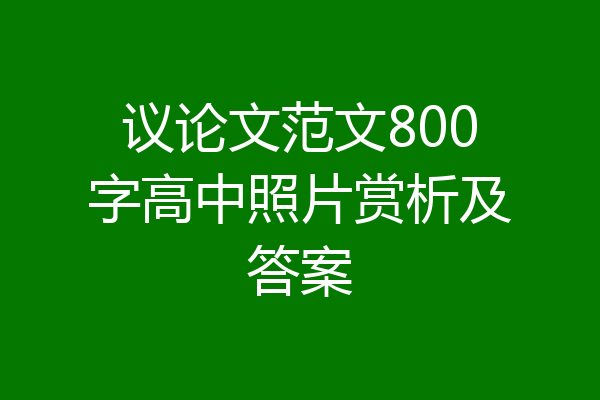 议论文范文800字高中照片赏析及答案