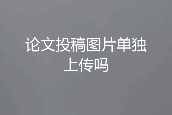 论文投稿图片单独上传吗