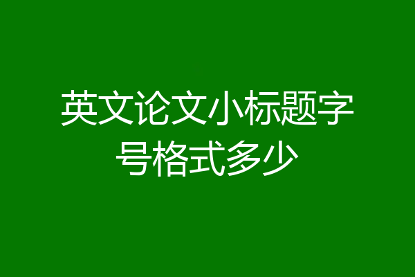 英文论文小标题字号格式多少