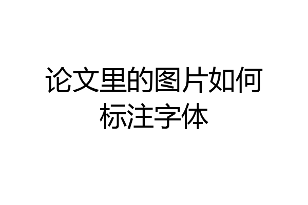 论文里的图片如何标注字体